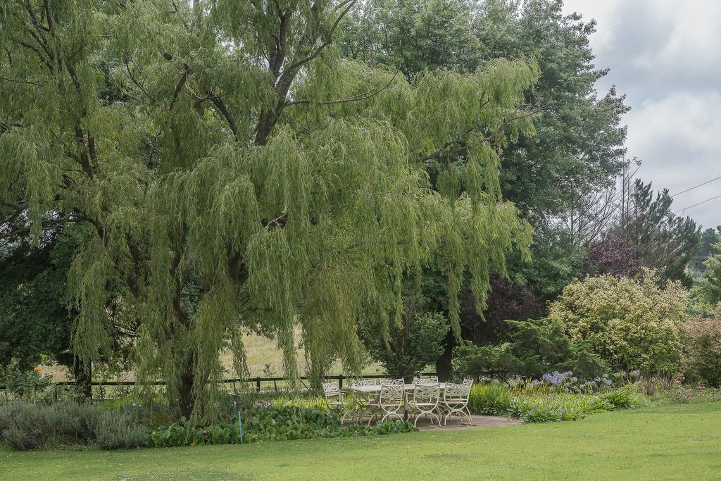 Glen Ormond Country House Henburg Park Eksteriør bilde