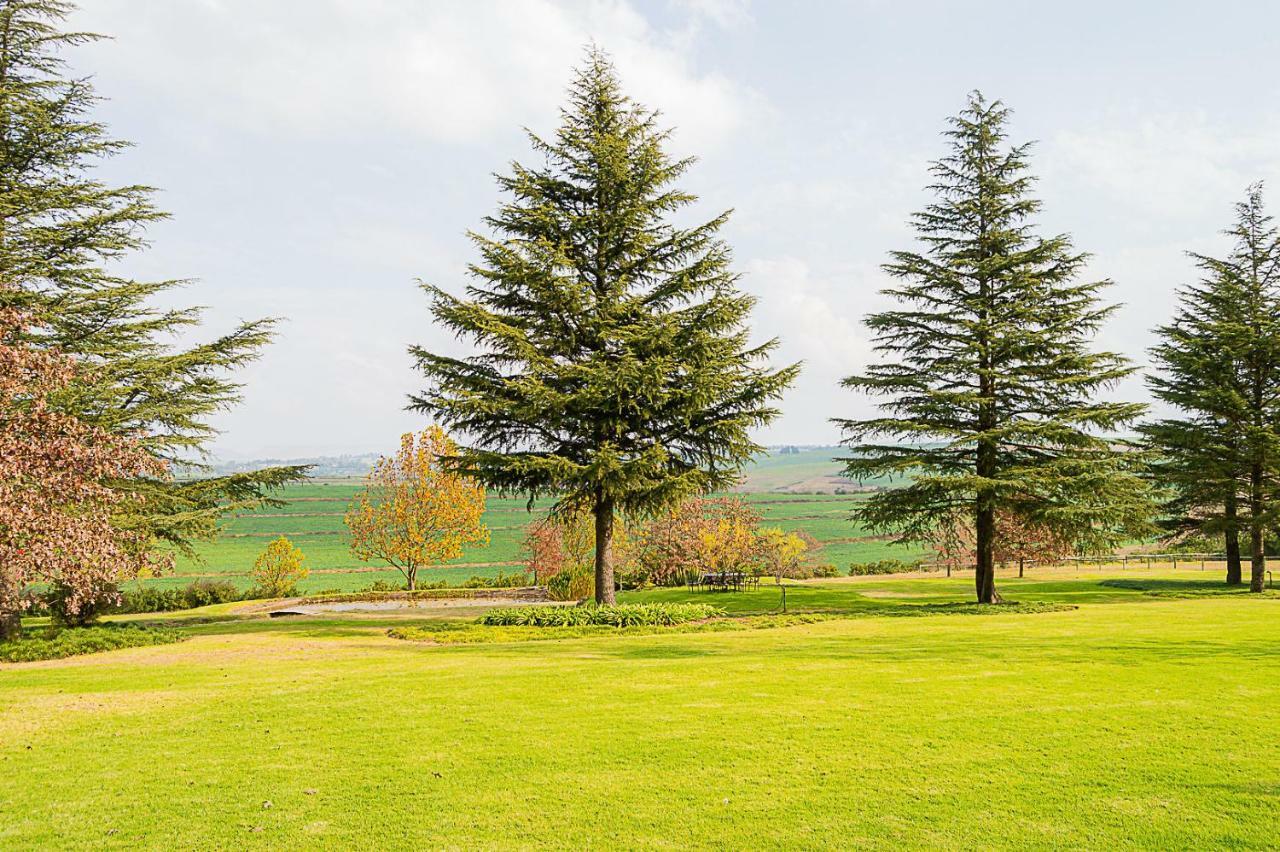Glen Ormond Country House Henburg Park Eksteriør bilde